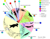 Ecological disparity in crocodile-line archosaurs.