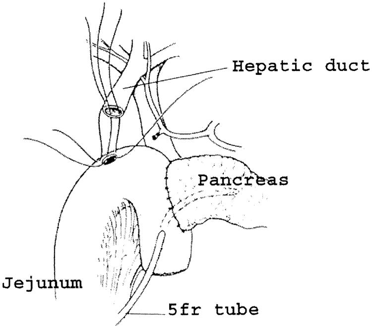 Fig. 15