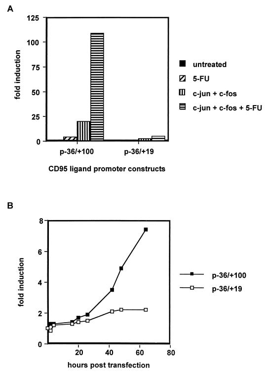 FIG. 6