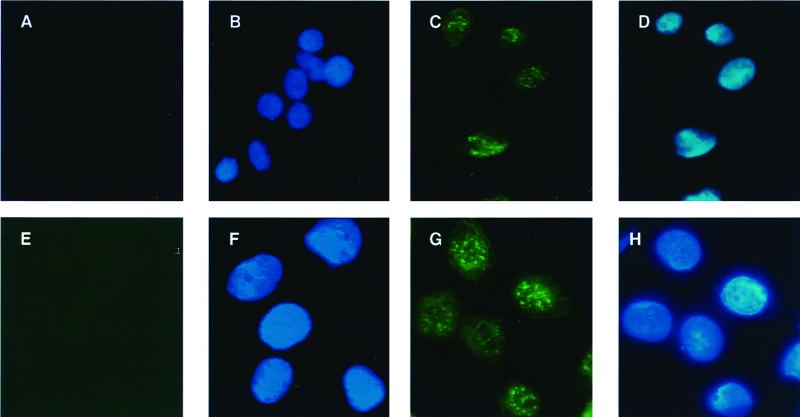 FIG. 9