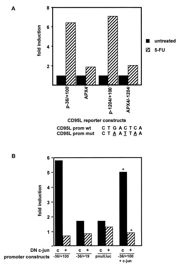 FIG. 7