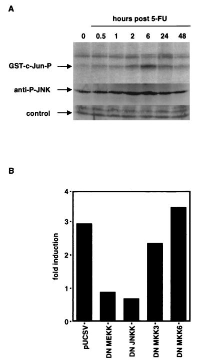 FIG. 10