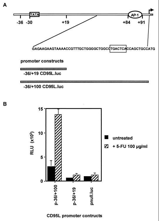 FIG. 5