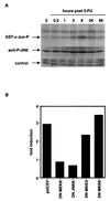FIG. 10