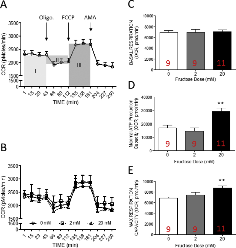 Fig. 4