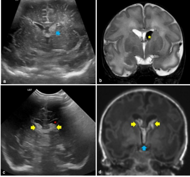 Fig. 7