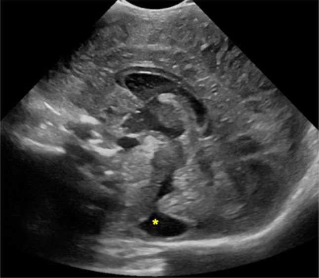 Fig. 3