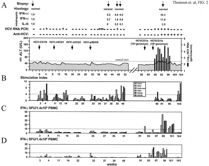 FIG. 2.