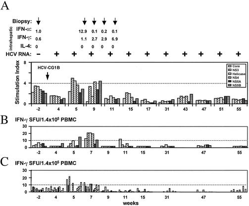 FIG. 5.