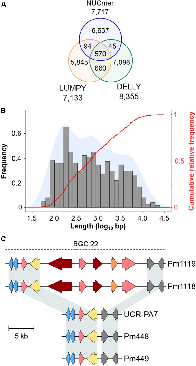 FIGURE 3