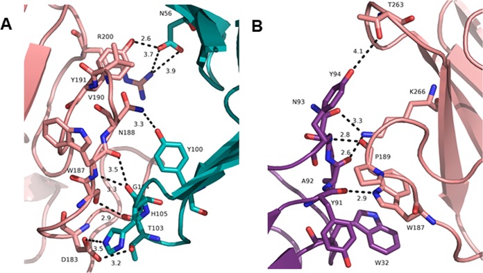 FIG 1