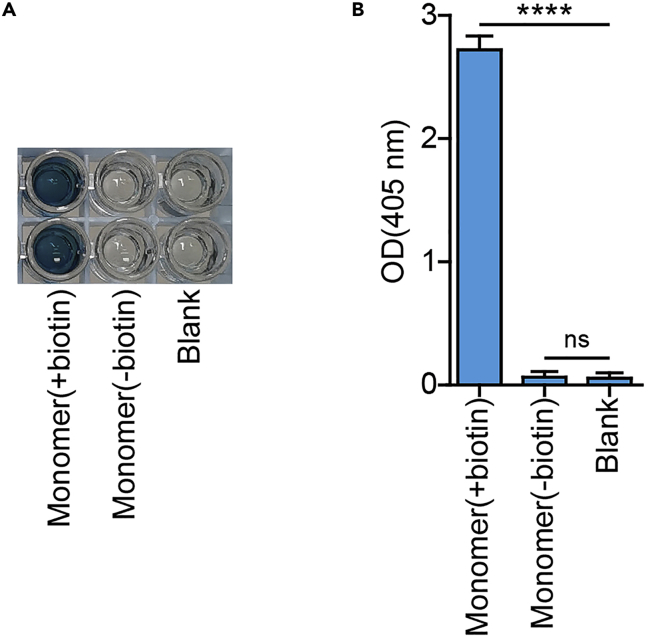 Figure 4