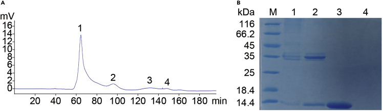 Figure 3