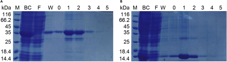 Figure 2