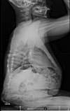 Fig. 6