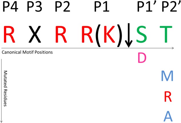 FIGURE 3