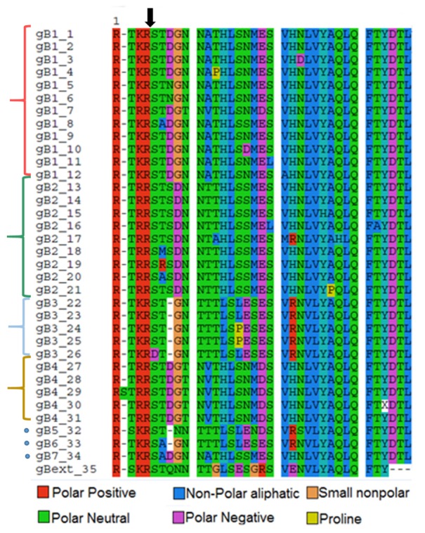 FIGURE 1