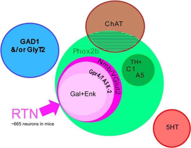 Figure 12.