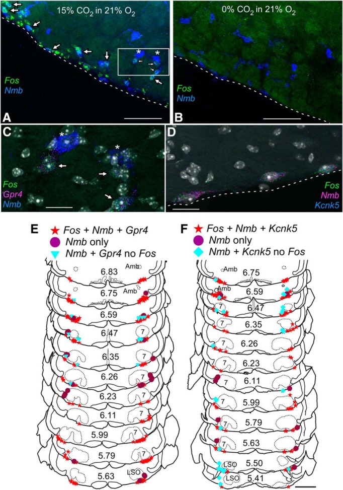 Figure 10.