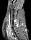 Fig. 1.