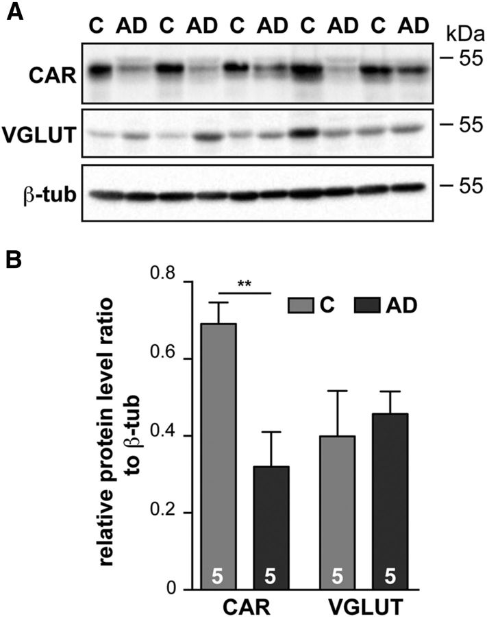 Figure 10.