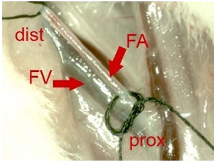 Fig. (1)