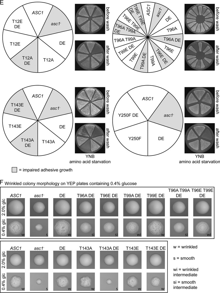 FIG 2