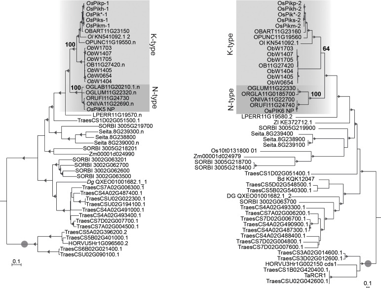 Figure 1—figure supplement 3.