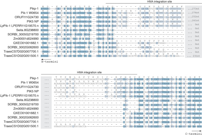 Figure 2—figure supplement 1.