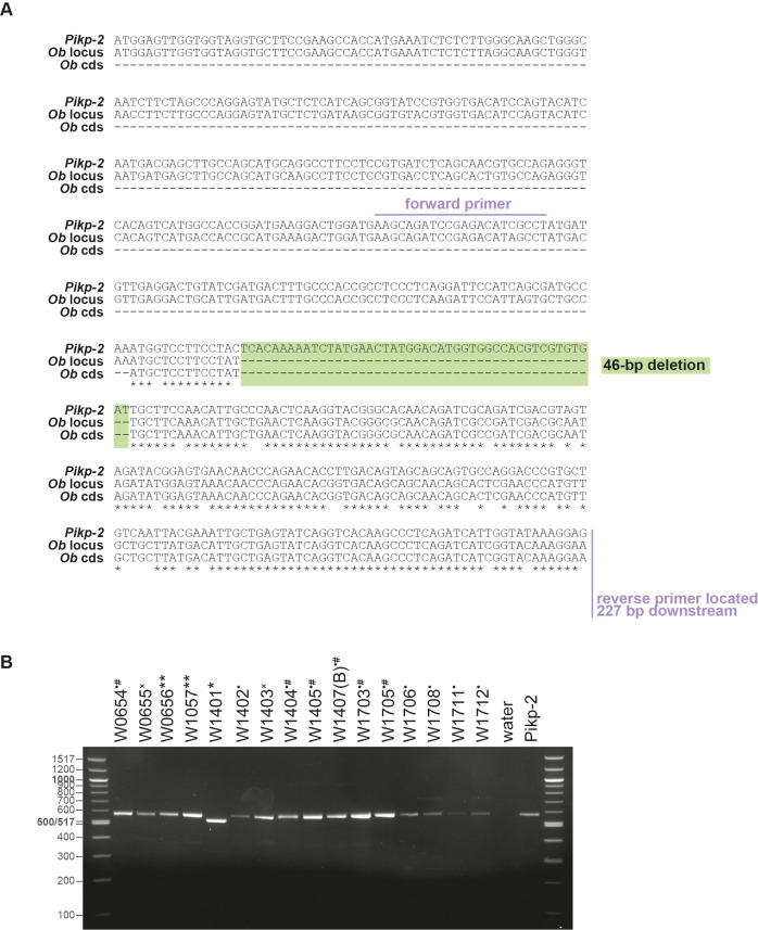 Figure 1—figure supplement 2.