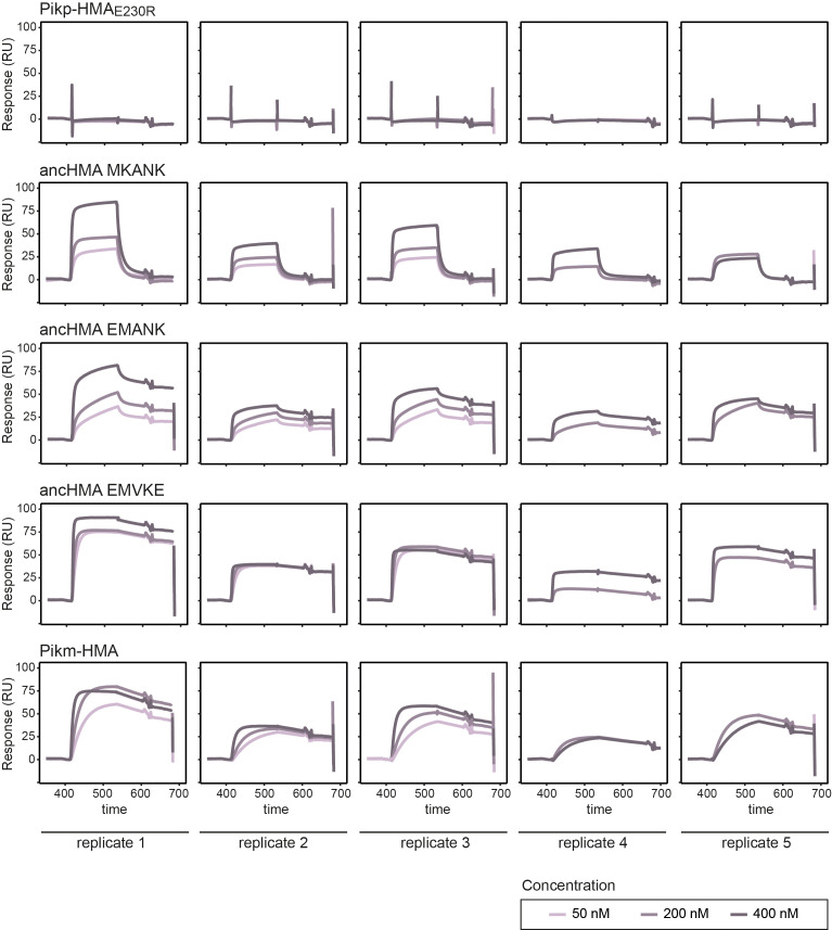 Figure 8—figure supplement 5.