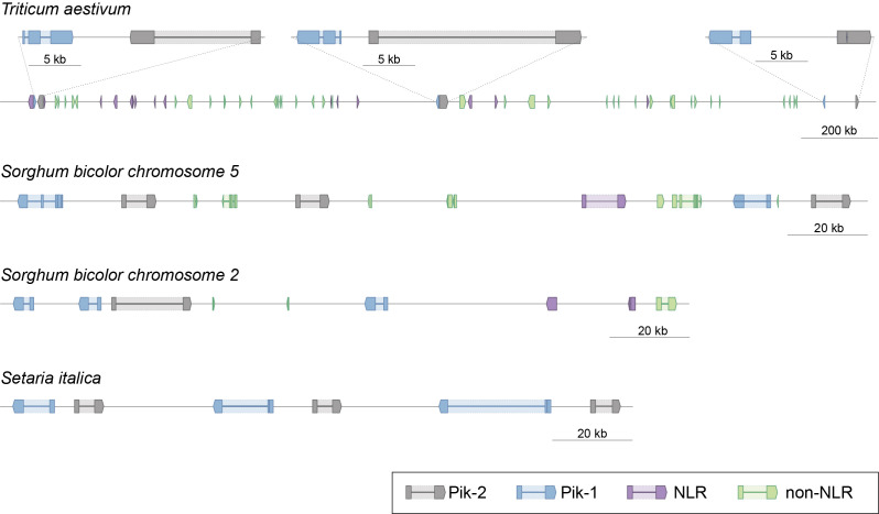 Figure 1—figure supplement 4.