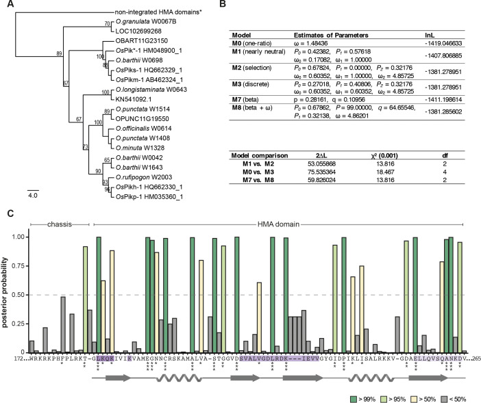 Figure 2—figure supplement 3.