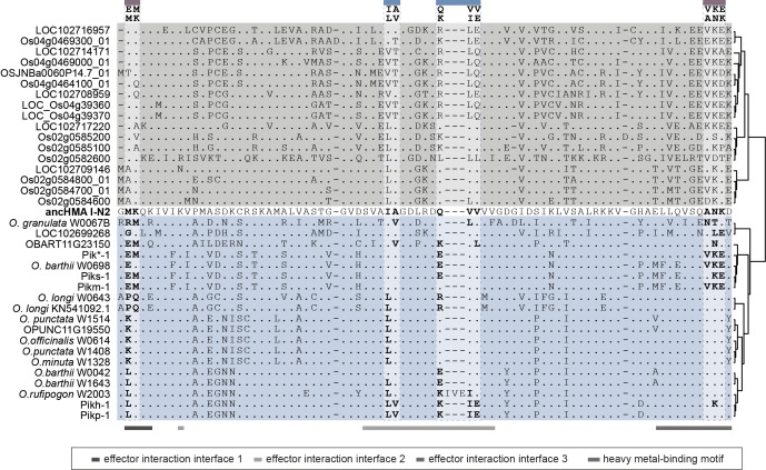 Figure 7—figure supplement 1.