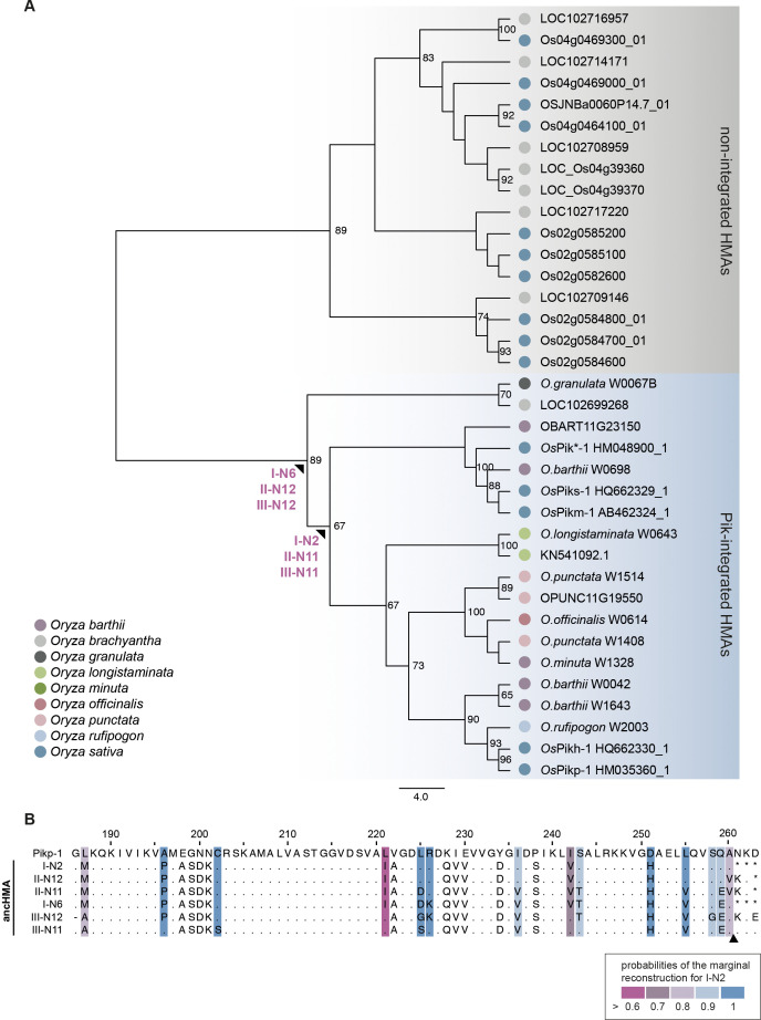 Figure 3—figure supplement 2.