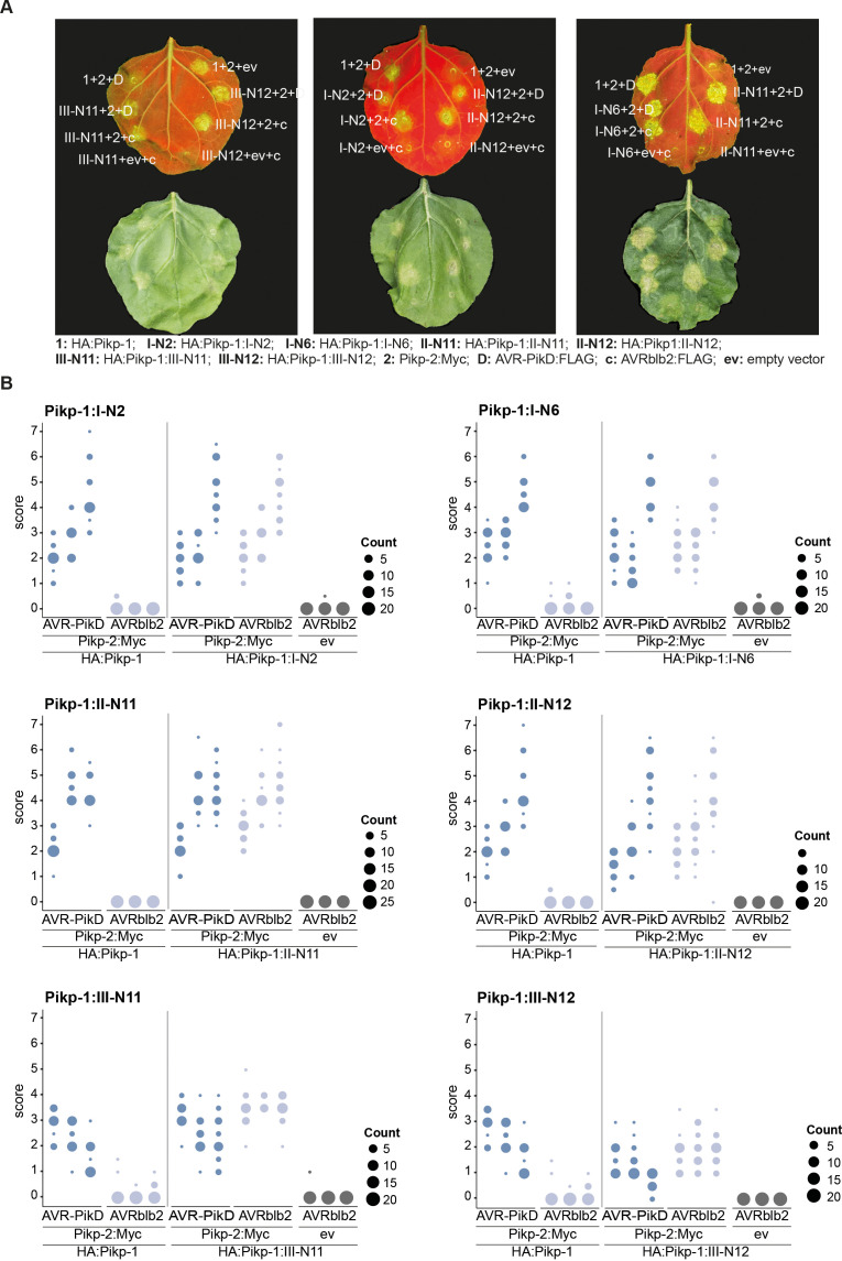 Figure 6—figure supplement 1.