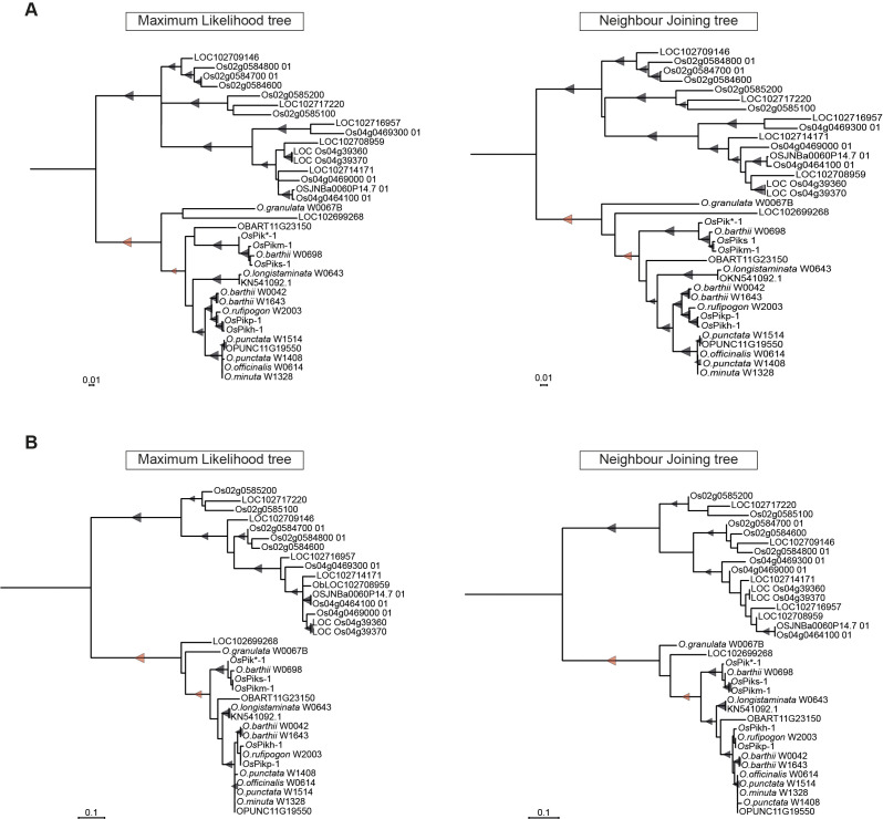 Figure 3—figure supplement 1.