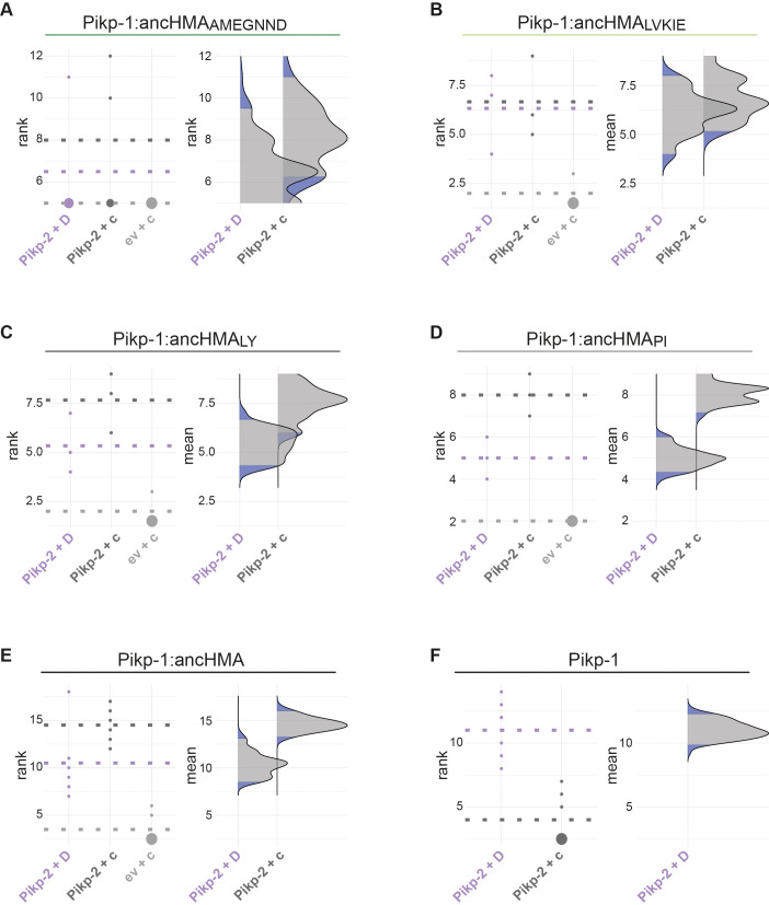 Figure 6—figure supplement 4.