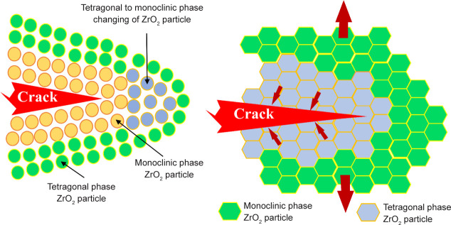 Figure 11.