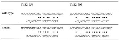 graphic file with name gkf412t03.jpg