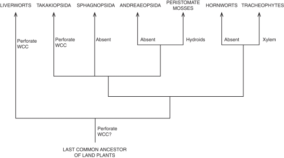 Fig. 10.