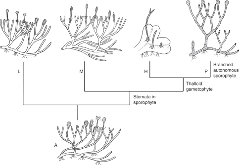 Fig. 8.