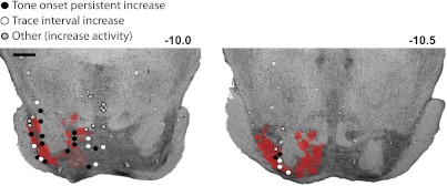 Fig. 11.