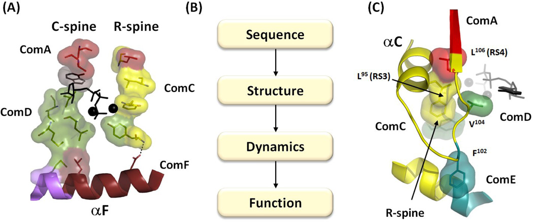 Figure 8