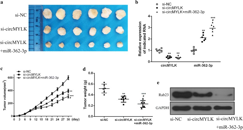 Fig. 6