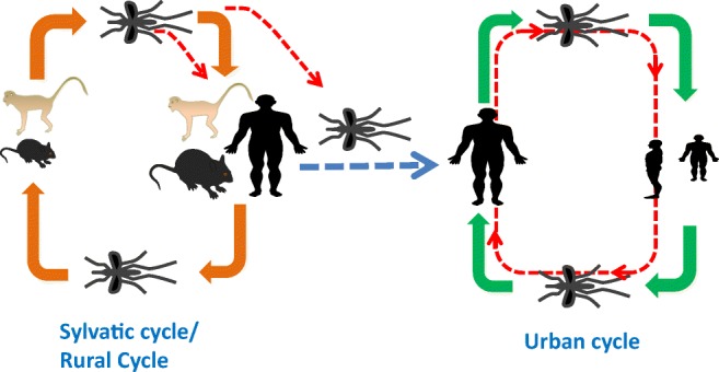 Fig. 3