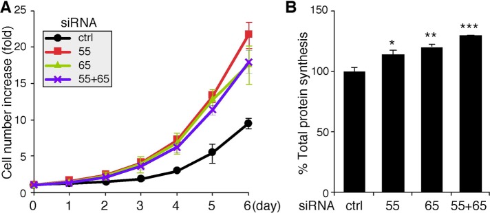 FIGURE 7: