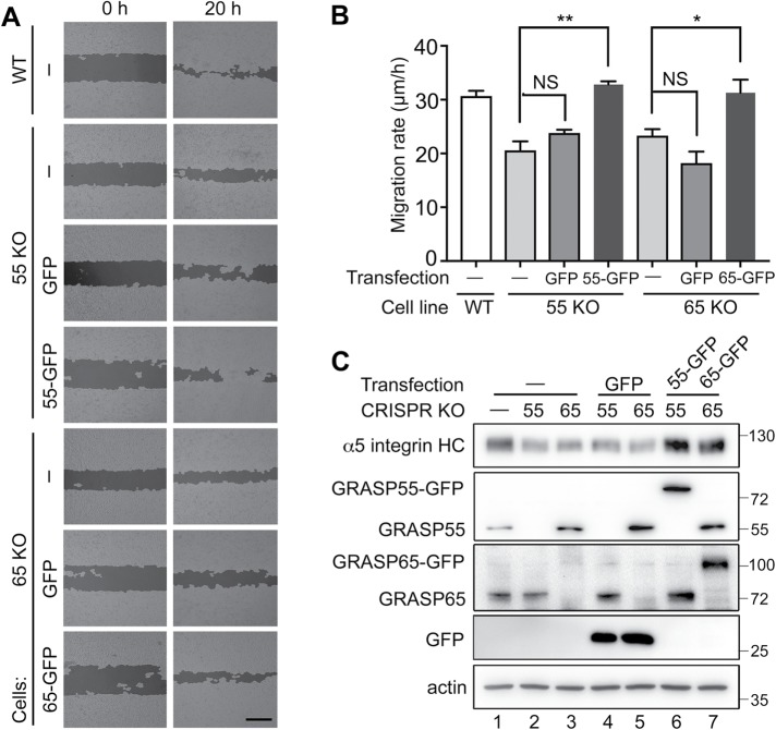 FIGURE 3: