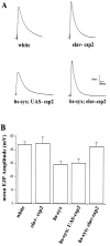 Fig. 7.