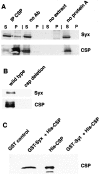 Fig. 8.